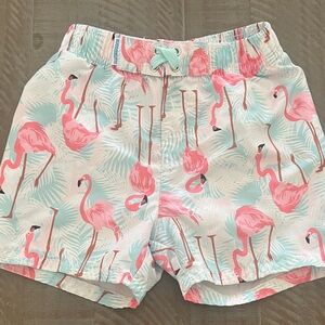 Ruggedbutts Flamingo Print Toddler Boy Swim Shorts